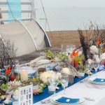 317442_243291362401605_853037711_n