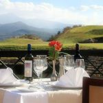 320048_243292789068129_1130345701_n