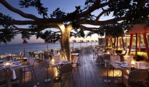 Dining delights and delectables